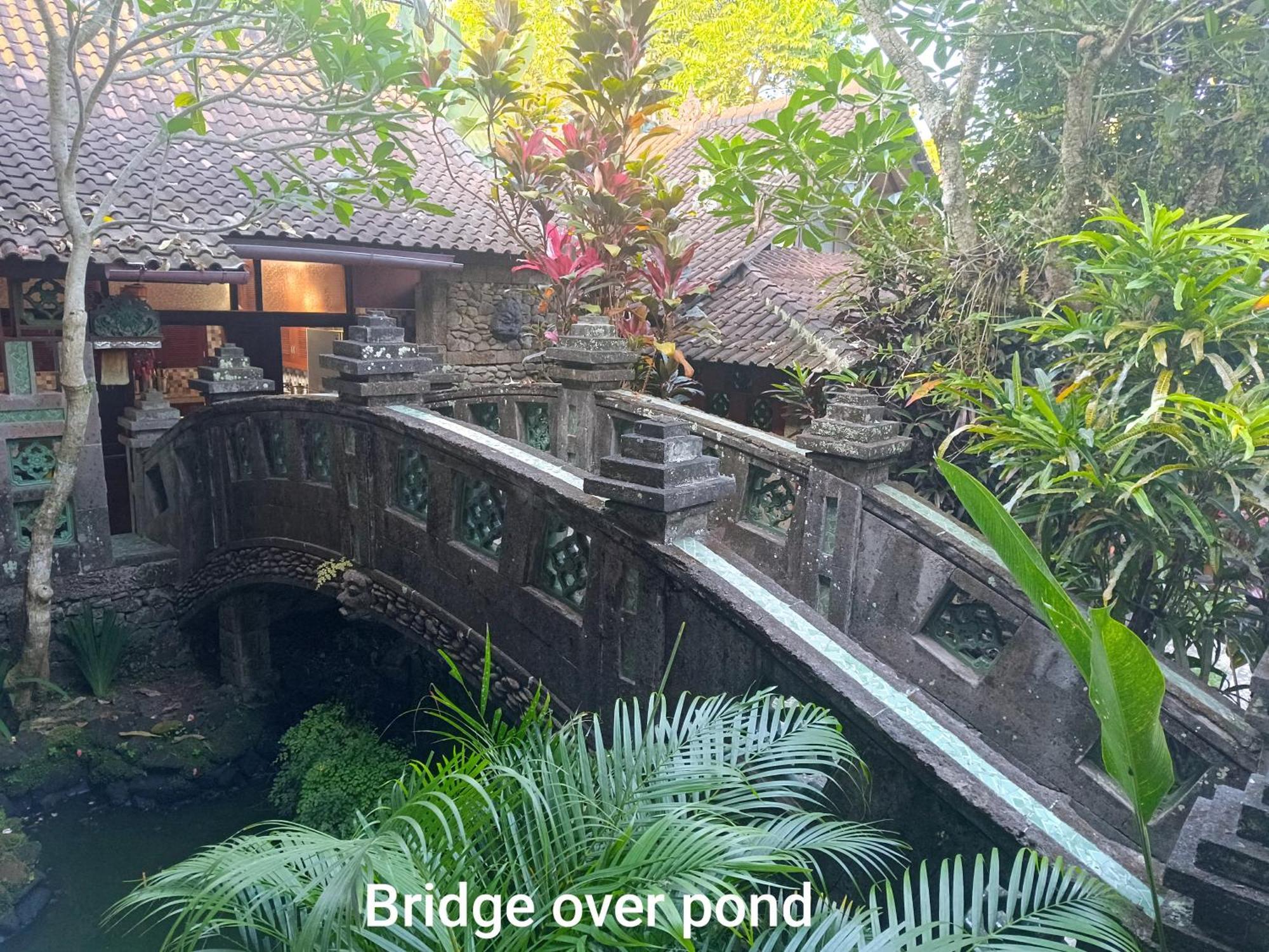 Guci Guesthouses Ubud Eksteriør billede