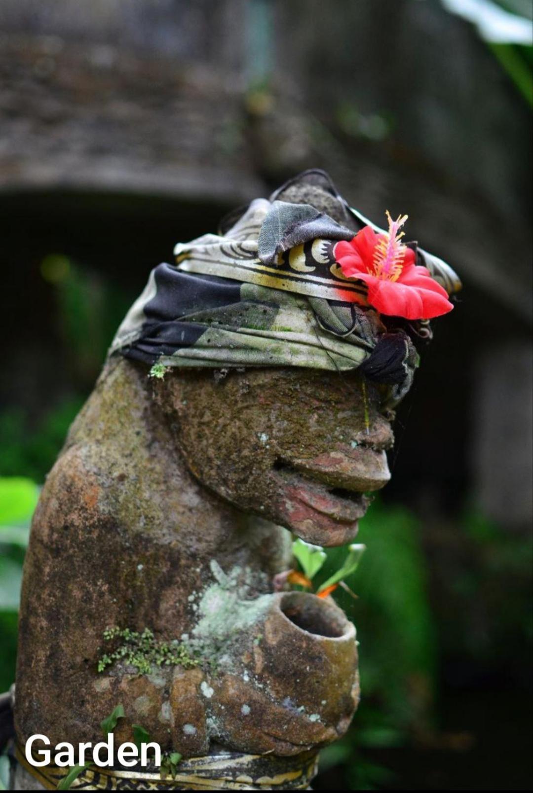 Guci Guesthouses Ubud Eksteriør billede